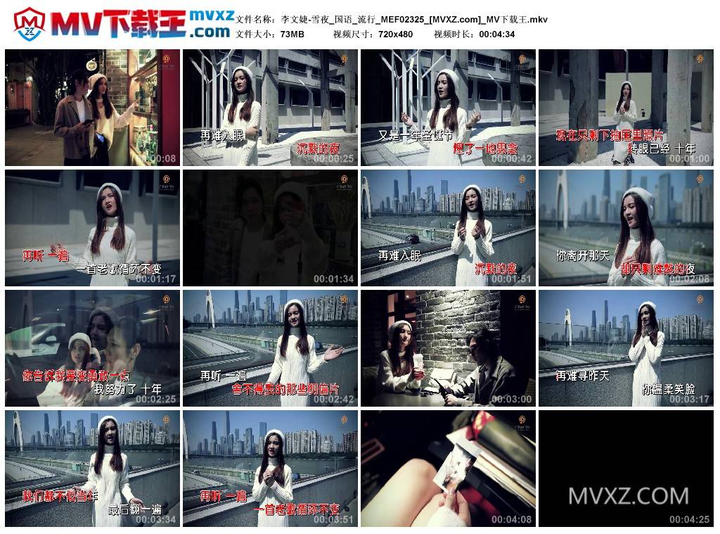 李文婕-雪夜_国语_流行_MEF02325